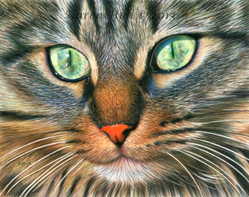 Cat Art